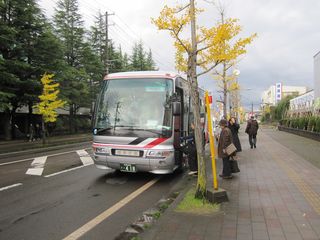 IMG_0541