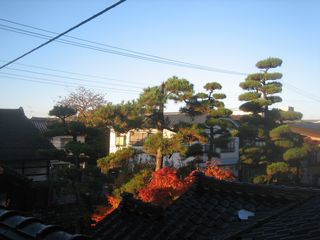 IMG_4061