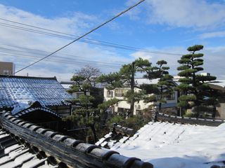 IMG_0614