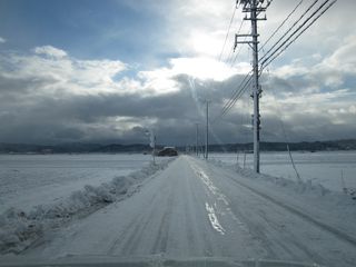 IMG_0619