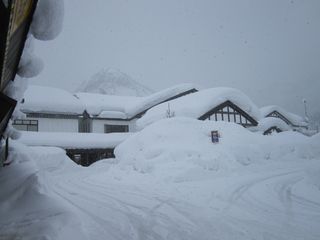 IMG_0650