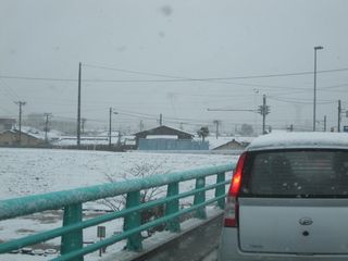 IMG_0599
