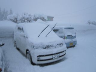 IMG_0655