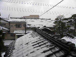 Dscn00151