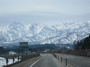 Img_01181