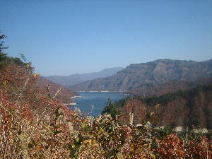 Img_38531